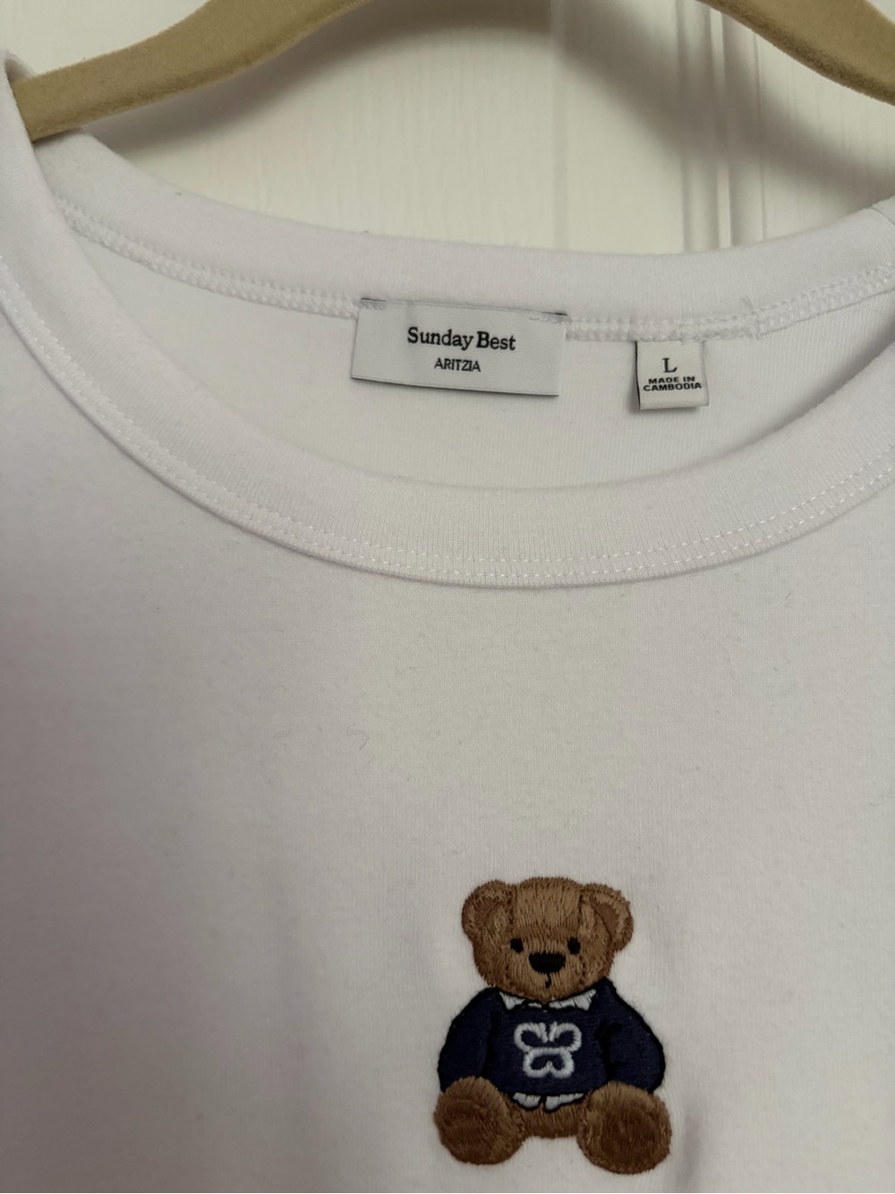 Aritzia Besthug Little Ribbed Icon T-Shirt - Picture 3 of 4